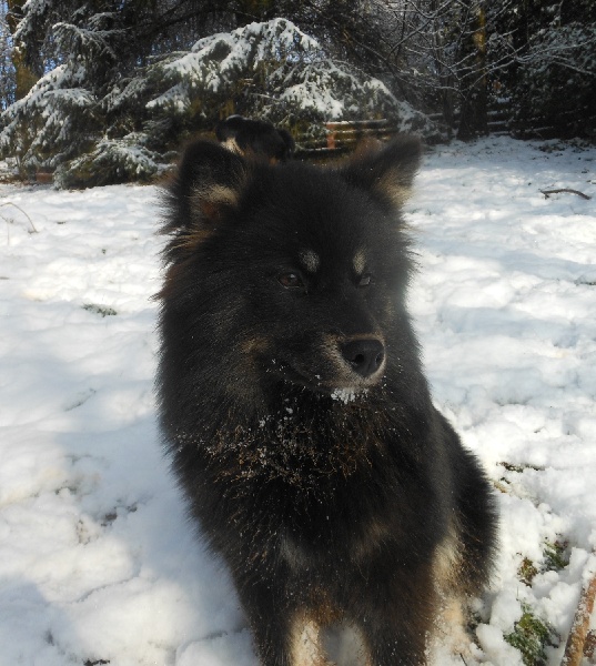 Helinä Des royaumes du grand nord